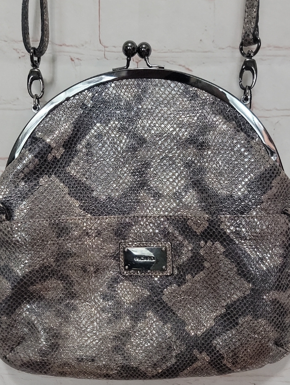 Metallic Silver Snake-Print Kiss-Lock Crossbody Clutch